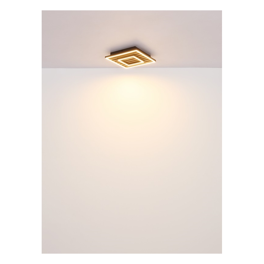 Globo - LED Stropné svietidlo LED/18W/230V 3000K 30x30 cm