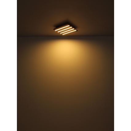 Globo - LED Stropné svietidlo LED/30W/230V 3000K 45x45 cm drevo