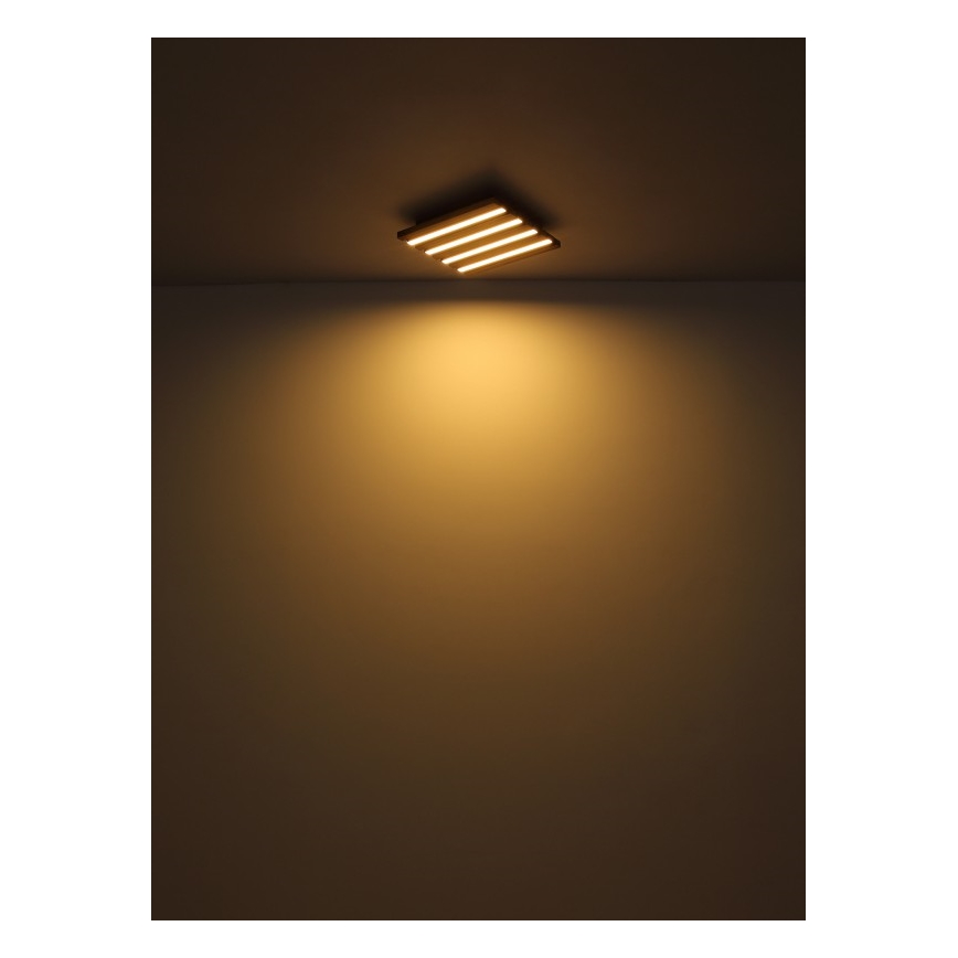 Globo - LED Stropné svietidlo LED/30W/230V 3000K 45x45 cm drevo