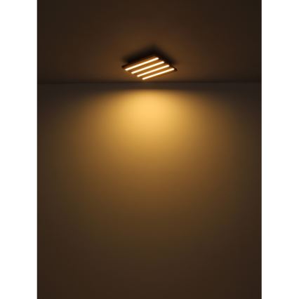 Globo - LED Stropné svietidlo LED/30W/230V 3000K 80x20 cm drevo
