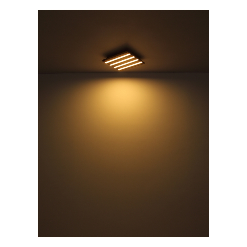 Globo - LED Stropné svietidlo LED/30W/230V 3000K 80x20 cm drevo