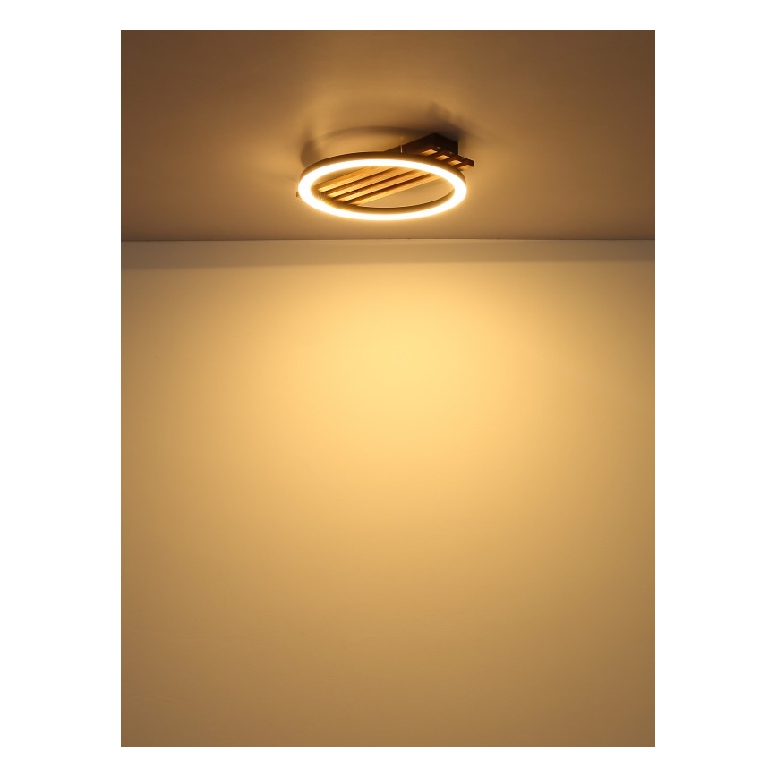 Globo - LED Stropné svietidlo LED/12W/230V 3000K 30x34 cm