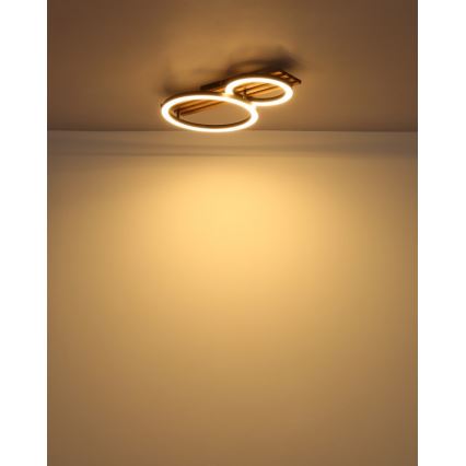 Globo - LED Stropné svietidlo LED/18W/230V 3000K 30x48 cm