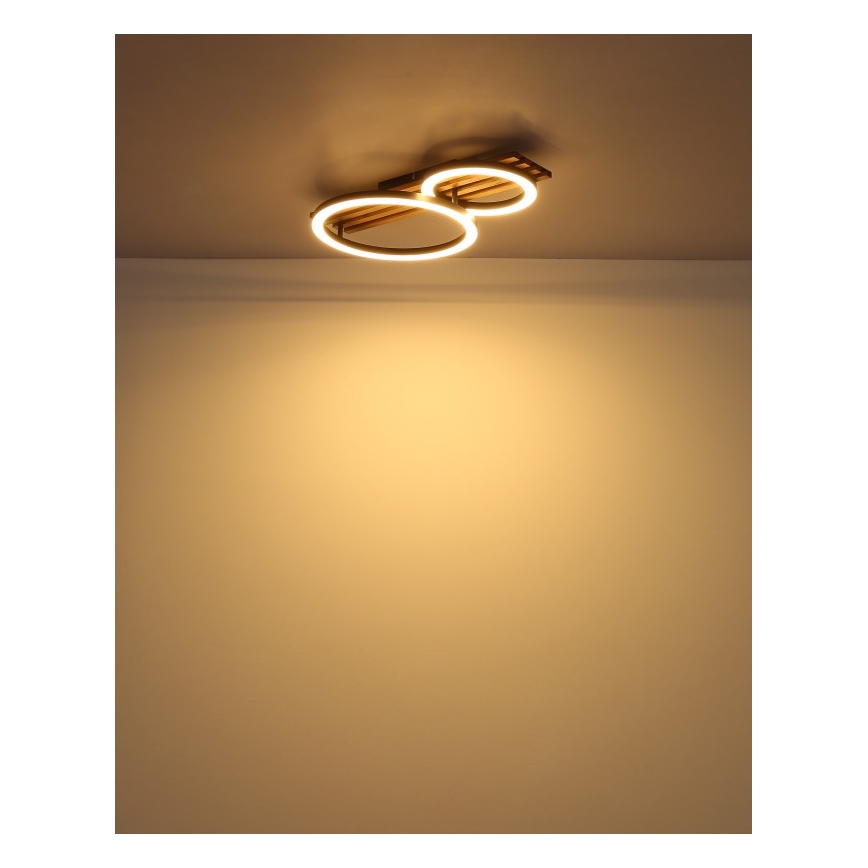 Globo - LED Stropné svietidlo LED/18W/230V 3000K 30x48 cm
