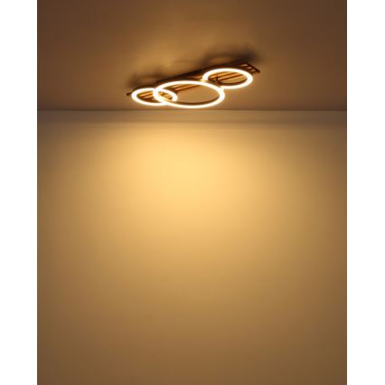 Globo - LED Stropné svietidlo LED/24W/230V 3000K 30x62 cm