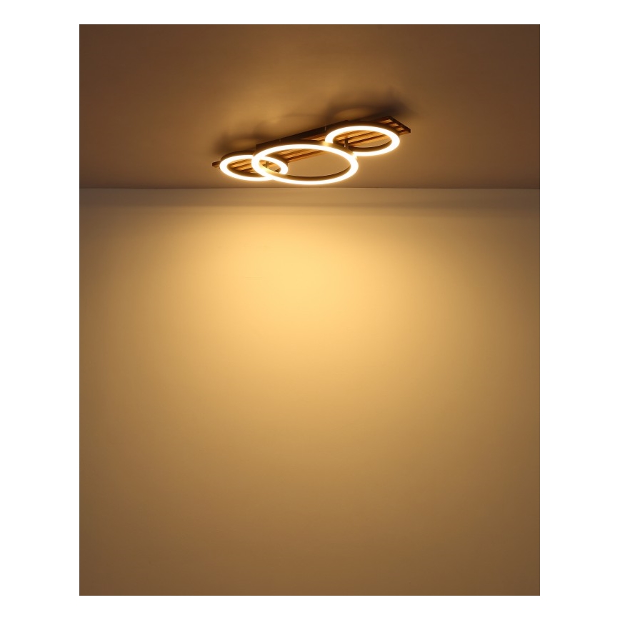Globo - LED Stropné svietidlo LED/24W/230V 3000K 30x62 cm