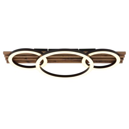 Globo - LED Stropné svietidlo LED/24W/230V 3000K 30x62 cm