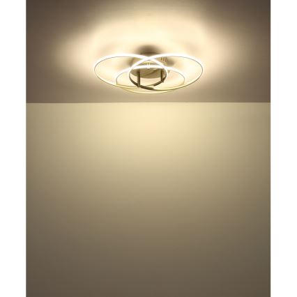 Globo - LED Stropné svietidlo LED/40W/230V 4000K pr. 45,6 cm matný chróm