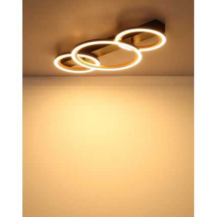 Globo - LED stropné svietidlo LED/40W/230V 3000K 58x30 cm