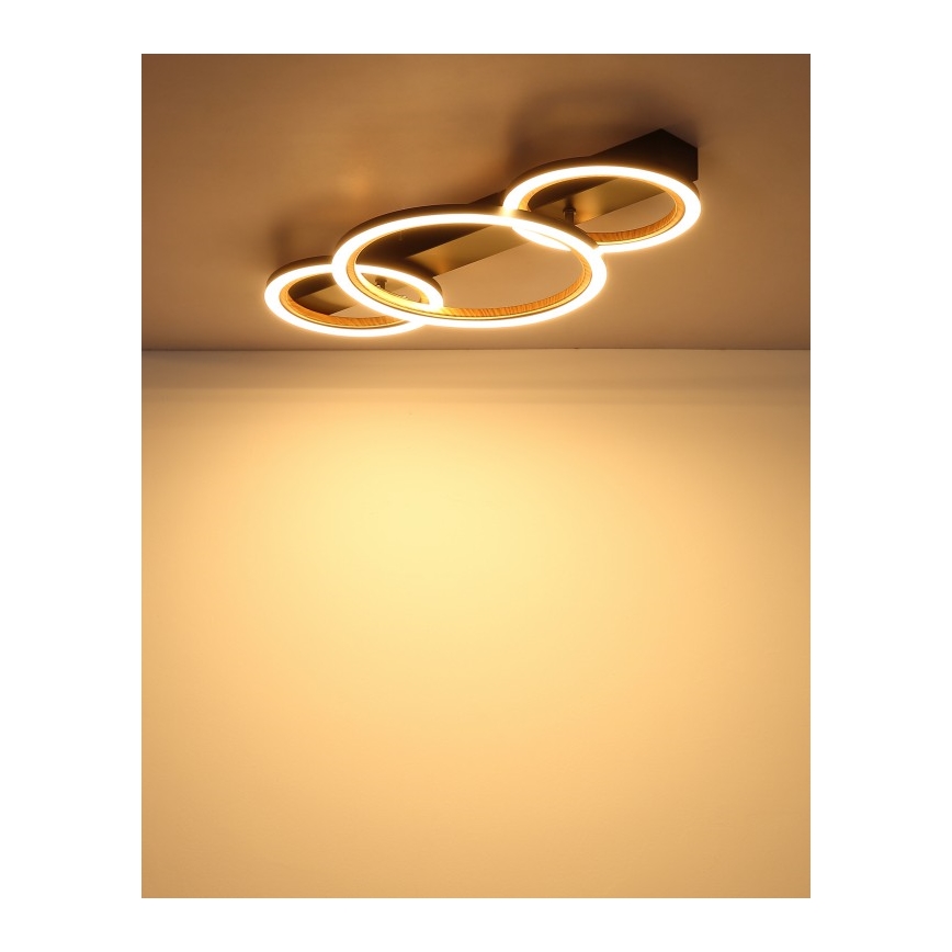 Globo - LED stropné svietidlo LED/40W/230V 3000K 58x30 cm