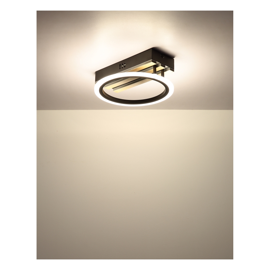 Globo - LED stropné svietidlo LED/10W/230V 3000/4200/600K 25x25 cm