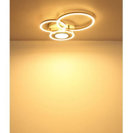 Globo - LED stropné svietidlo LED/40W/230V 3000K 49x39 cm