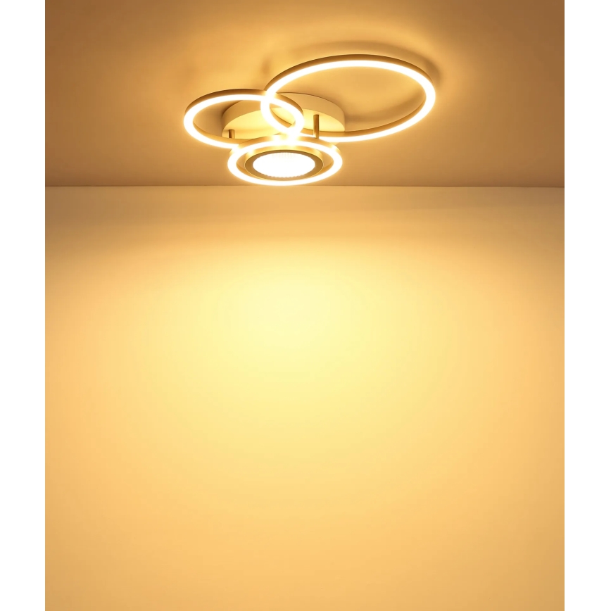 Globo - LED stropné svietidlo LED/40W/230V 3000K 49x39 cm