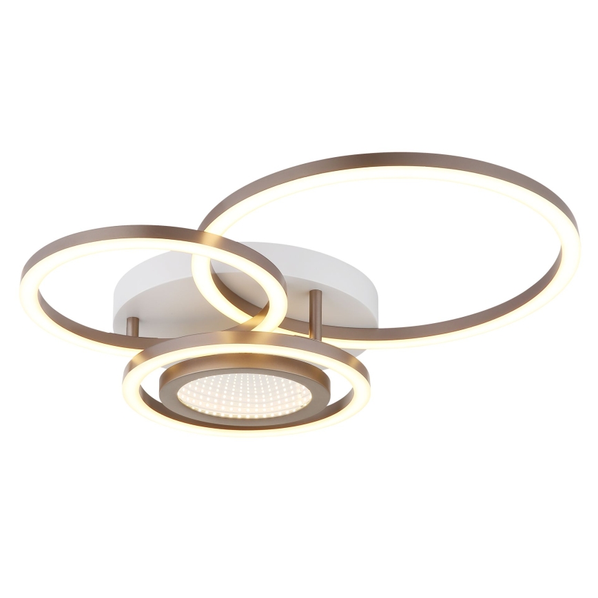 Globo - LED stropné svietidlo LED/40W/230V 3000K 49x39 cm