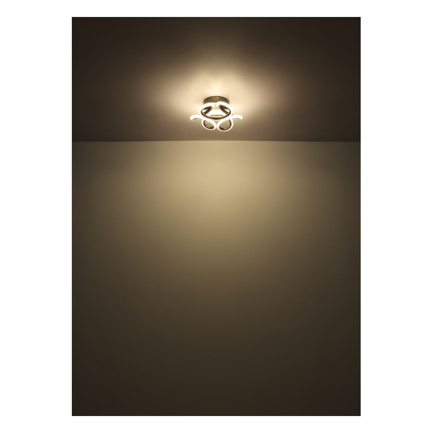 Globo - LED Stropné svietidlo LED/24W/230V 2700/4000/6000K pr. 26 cm čierna