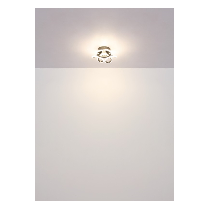 Globo - LED Stropné svietidlo LED/24W/230V 2700/4000/6000K pr. 26 cm čierna