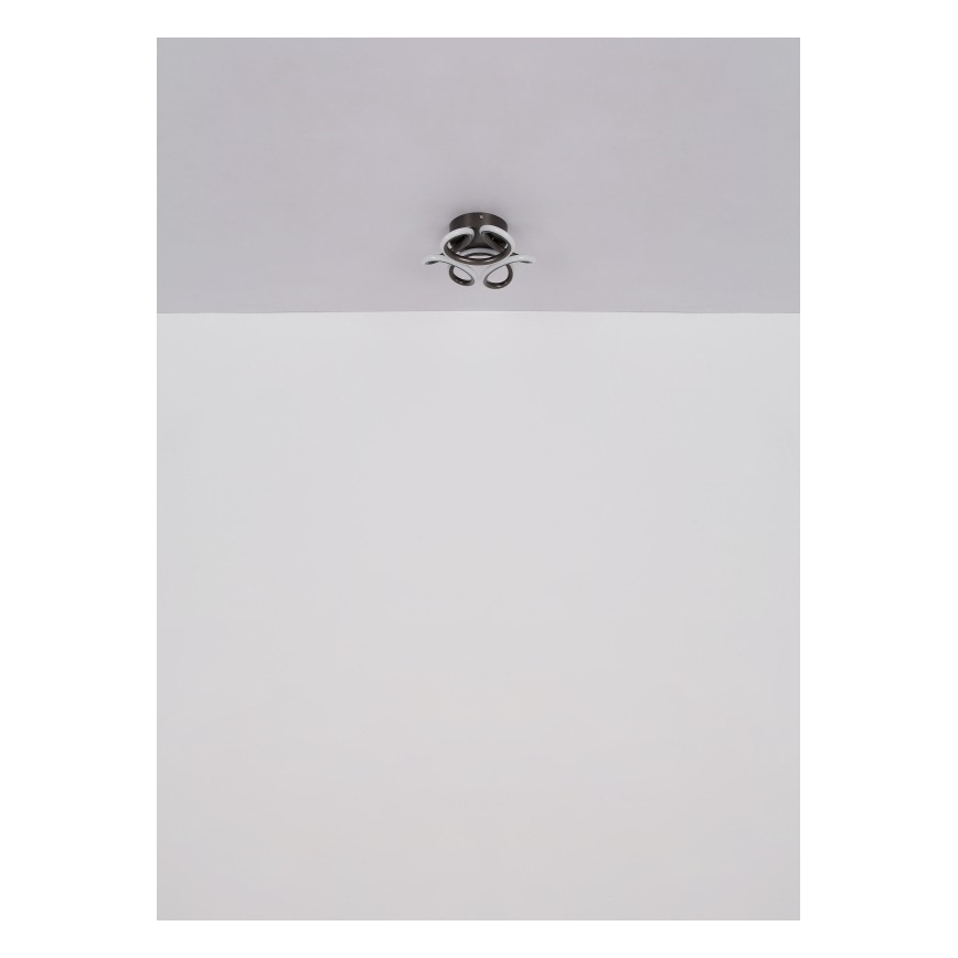Globo - LED Stropné svietidlo LED/24W/230V 2700/4000/6000K pr. 26 cm čierna