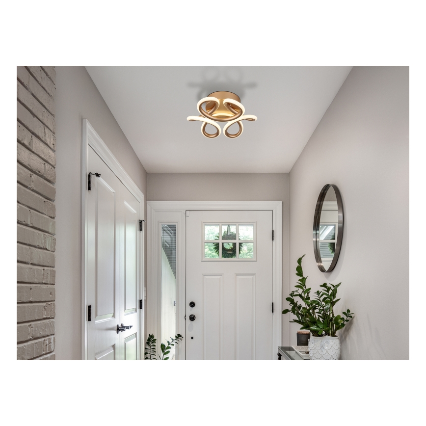 Globo - LED Stropné svietidlo LED/24W/230V 2700/4000/6000K pr. 26 cm zlatá