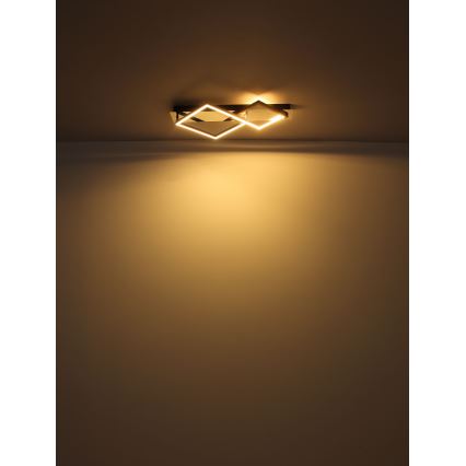Globo - LED Stropné svietidlo LED/24W/230V 3000K