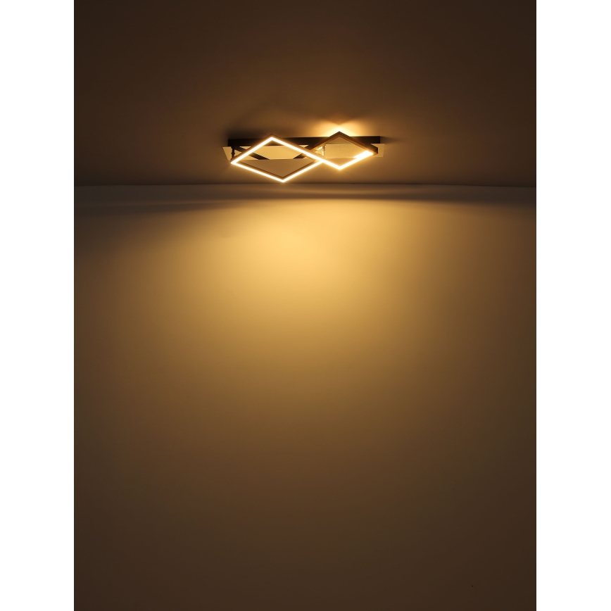 Globo - LED Stropné svietidlo LED/24W/230V 3000K