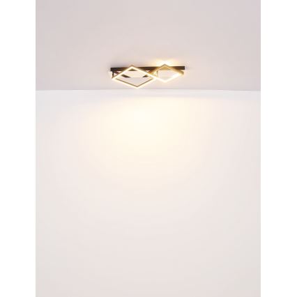 Globo - LED Stropné svietidlo LED/24W/230V 3000K