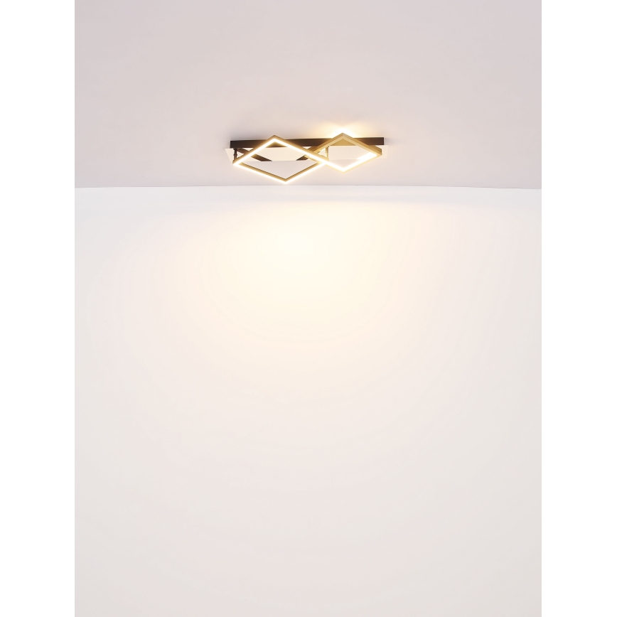 Globo - LED Stropné svietidlo LED/24W/230V 3000K
