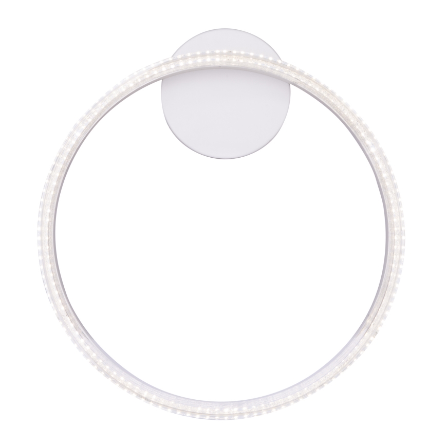 Globo - LED Stropné svietidlo LED/24W/230V