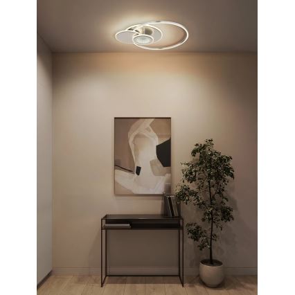 Globo - stmievateľné LED stropné svietidlo LED/24W/230V 2700-6000K strieborné + diaľkové ovládanie