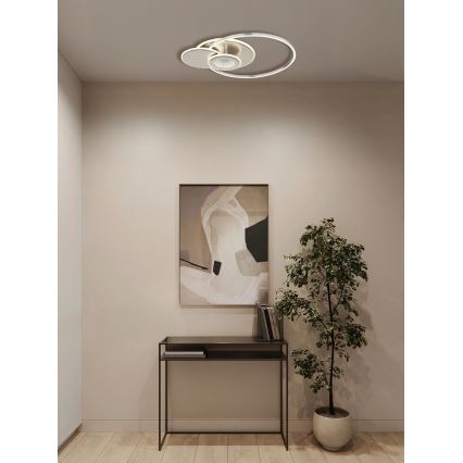 Globo - stmievateľné LED stropné svietidlo LED/24W/230V 2700-6000K strieborné + diaľkové ovládanie
