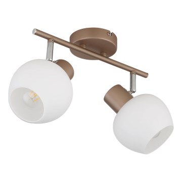 Globo - Bodové svietidlo 2xE27/40W/230V