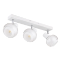 Globo - Bodové svietidlo 3xE14/40W/230V biele
