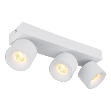 Globo - LED Bodové svietidlo 3xLED/6W/230V biela
