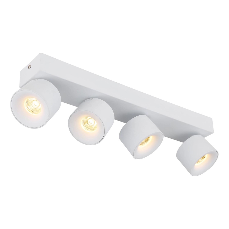 Globo - LED Bodové svietidlo 4xLED/6W/230V biela