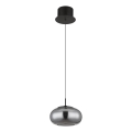 Globo - LED Luster na lanku LED/6W/230V čierna