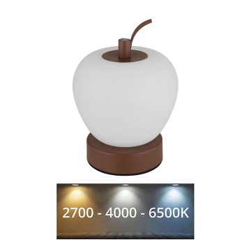 Globo - LED Stmievateľná dotyková stolná lampa LED/2W/3,7V 2700K/4000K/6500K 1200 mAh USB hnedá