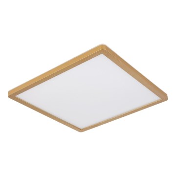 Globo - LED Stmievateľné kúpeľňové stropné svietidlo LED/18W/230V 3000K IP44 29,4x29,4 cm mosadz