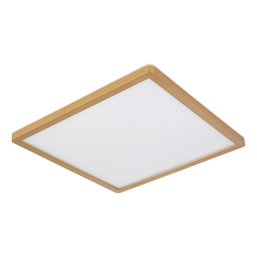 Globo - LED Stmievateľné kúpeľňové stropné svietidlo LED/18W/230V 3000K IP44 29,4x29,4 cm mosadz