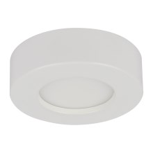 Globo - LED Stmievateľné kúpeľňové svietidlo 1xLED/9W/230V IP44