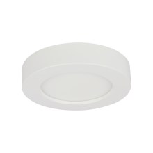 GLOBO - LED Stmievateľné kúpeľňové svietidlo LED/18W/230V IP44