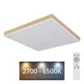 Globo - LED Stmievateľné stropné svietidlo LED/24W/230V 2700-6500K zlatá + diaľkové ovládanie