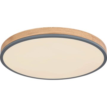 Globo - LED Stmievateľné stropné svietidlo LED/40W/230V 2700-6500K pr. 60 cm + diaľkové ovládanie hnedá/šedá