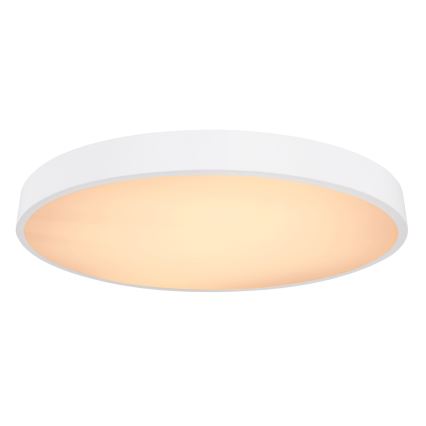 Globo - LED Stmievateľné stropné svietidlo LED/48W/230V + diaľkové ovládanie