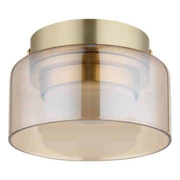 Globo - LED Stropné svietidlo 1xGX53/6W/230V pr. 13 cm dymová/hnedá