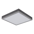 Globo - LED Stropné svietidlo LED/12W/230V 3000K 30x30 cm