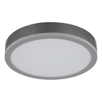 Globo - LED Stropné svietidlo LED/12W/230V 3000K pr. 30 cm
