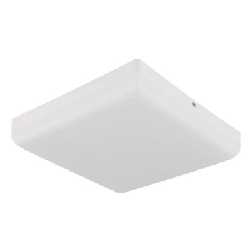 Globo - LED Stropné svietidlo LED/12W/230V 4000K 22x22 cm biela