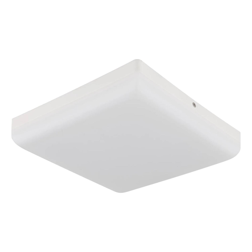 Globo - LED Stropné svietidlo LED/12W/230V 4000K 22x22 cm biela