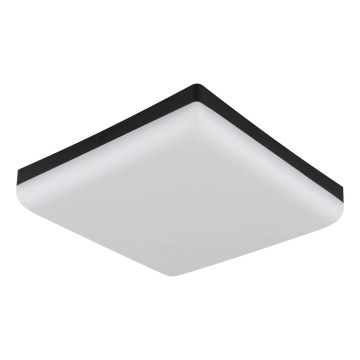 Globo - LED Stropné svietidlo LED/12W/230V 4000K 22x22 cm čierna