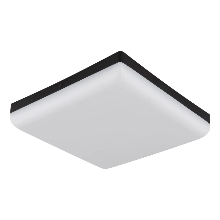 Globo - LED Stropné svietidlo LED/12W/230V 4000K 22x22 cm čierna