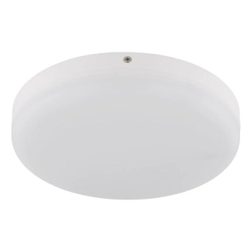 Globo - LED Stropné svietidlo LED/12W/230V 4000K pr. 22 cm biela